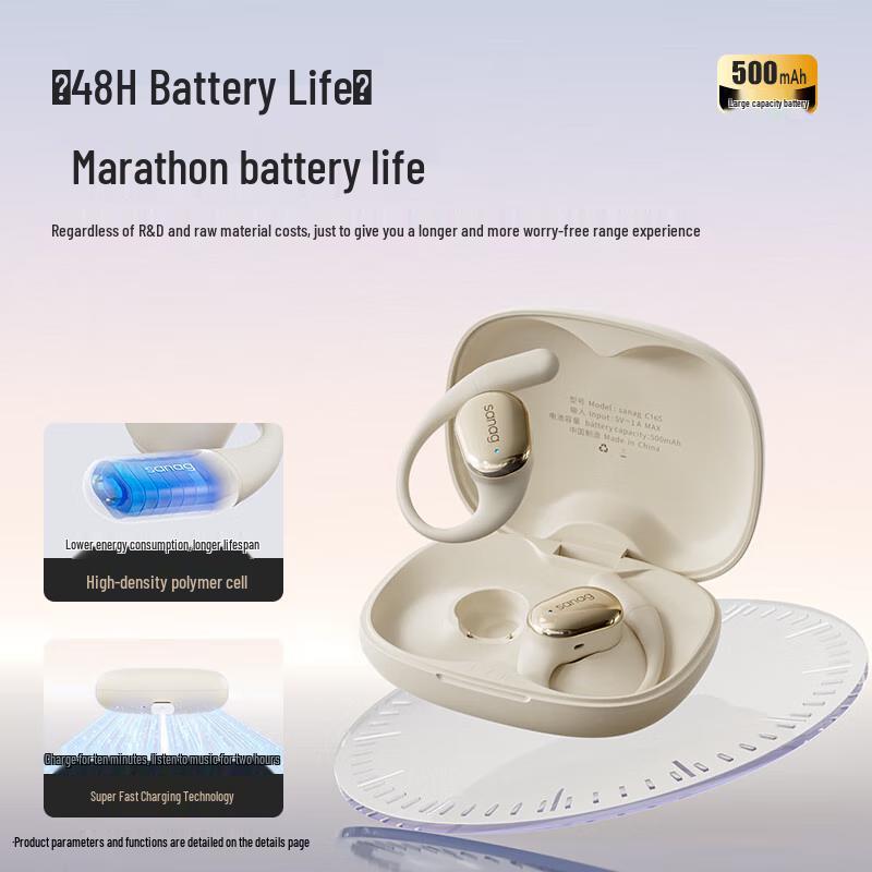 Saina S-C16S Open-Ear Hook True Wireless Earbuds