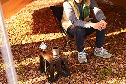 Hasegawa desta Compact Carbon Resin Step Stool, 1 Step, SCF-24 (24cm) (10180), Black