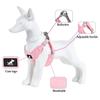 Breathable Pet Harness for Small Medium Dog Cat Harness Leash Set Reflective Puppy  Walking Leash Lead Chihuahua French Bulldog