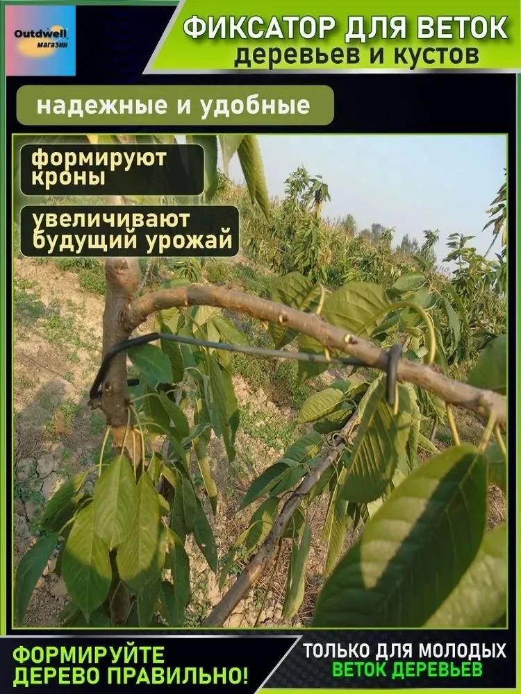 

Устройство для оттягивания ветвей плодовых деревьев, разделения боковых ветвей, формирования, сгибания и прижимания ветвей чёрный