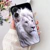 Fashion Painting Case For Tecno Spark Go 2 2025 Soft Silicone TPU Phone Cases For Tecno Spark Go2 KM4 Covers Bumpers