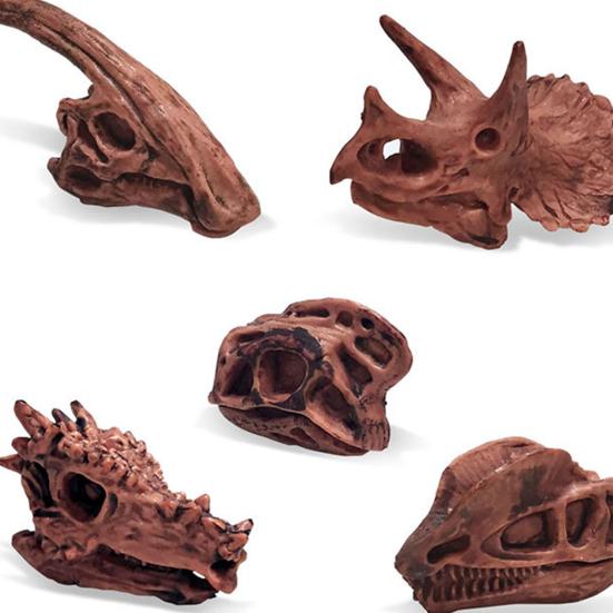11Pcs/Set Dinosaur Fossil Model High Simulation Hand-painted Vivid Carnotaurus Dinosaur Skull Fossil Figurine for Kids