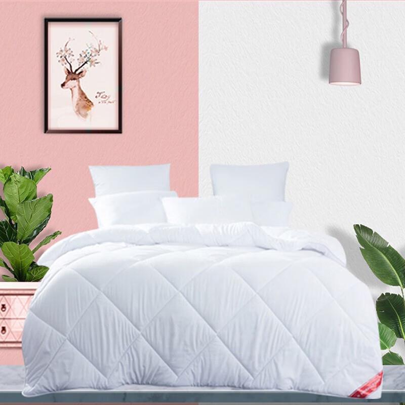 

Mengjie Four Seasons Breathable Quilt Insert