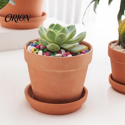 Decorațiuni pentru casă – Ghivece de flori decorative