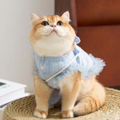 Ins Wind Cat Clothes Spring and Summer Quiet Pastoral Cat Vest Hairless Cat Kitten Pet Clothes