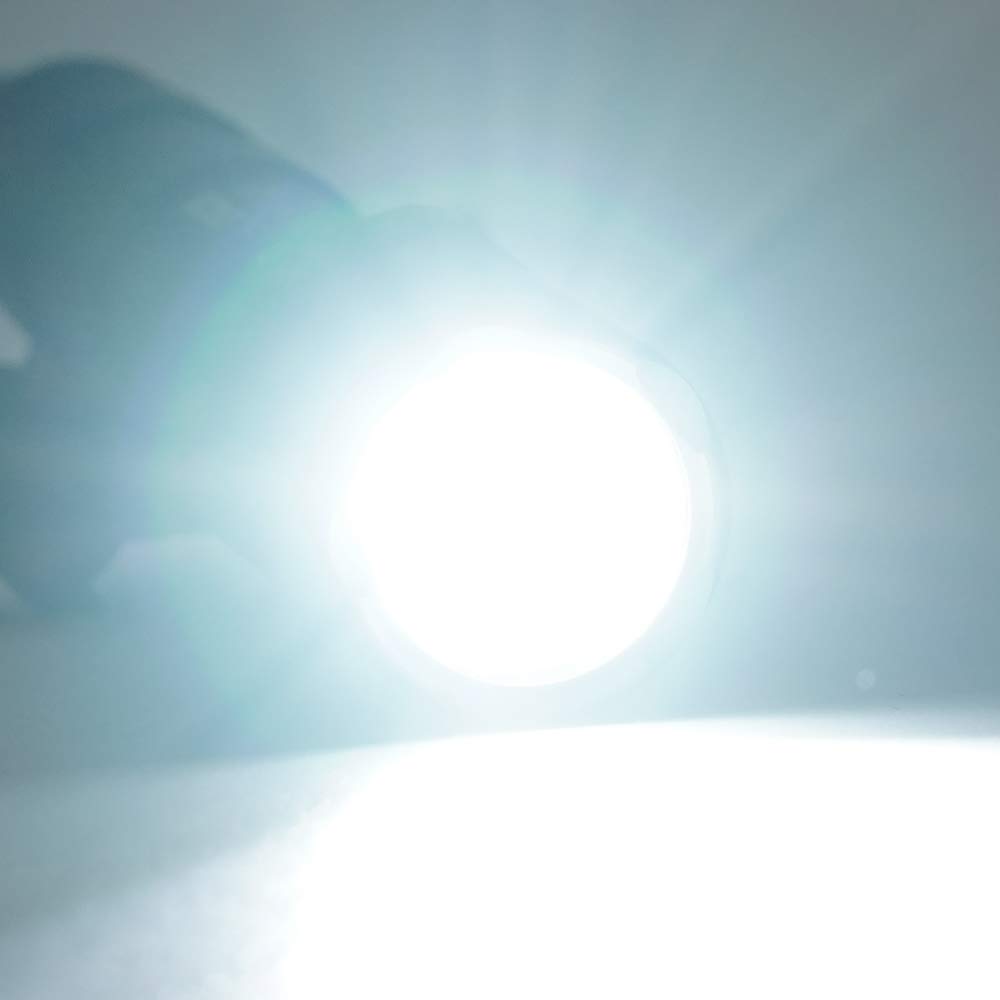 Ryohin Takehin M600B Type Scout Light with Dual Switch, SF Stamp, 470 Lumens & Dual Switch Set, CREE XP-G R5 LED
