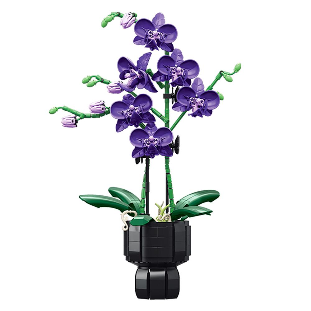 High-Quality Stereo High-Quality 3D High-Quality Sunflower High-Quality Frame High-Quality Ornament High-Quality Building High-Quality Block