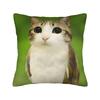 Surprised Meowl cat Owl Square Pillow Case  Cushion Cover Fashion Zipper Decor Throw Pillow Case Cover for Living Room 40*40cm