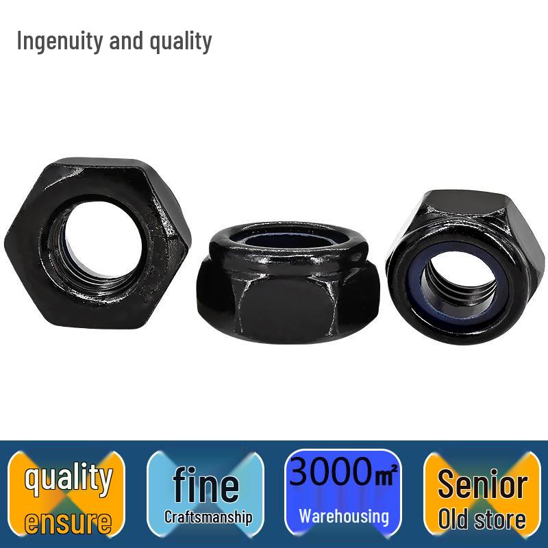 Black Anti-Loosening Locking Hex Nut (M2-M14) - 304 Stainless Steel