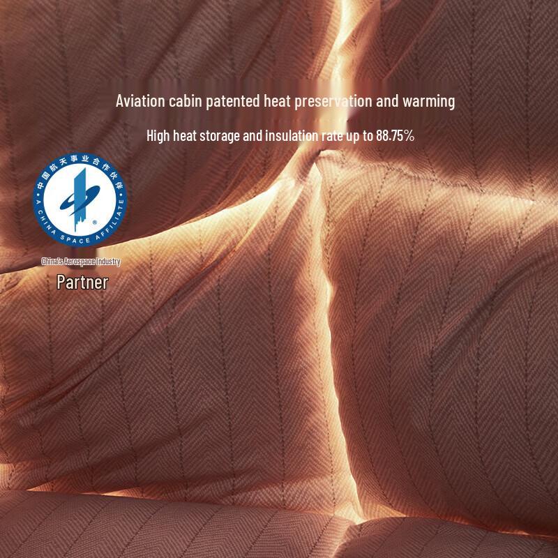 LUOLAI Home Textiles 95% Goose Down Anti-Mite Winter Duvet