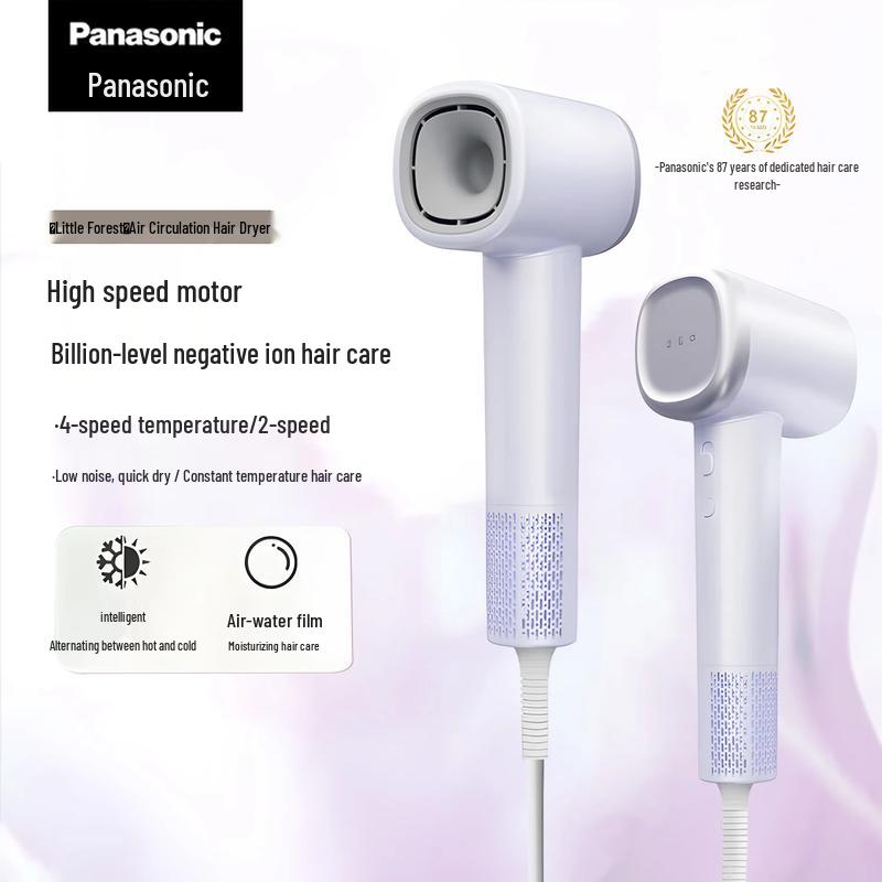 Panasonic EH-NE6L High-Speed Hair Dryer