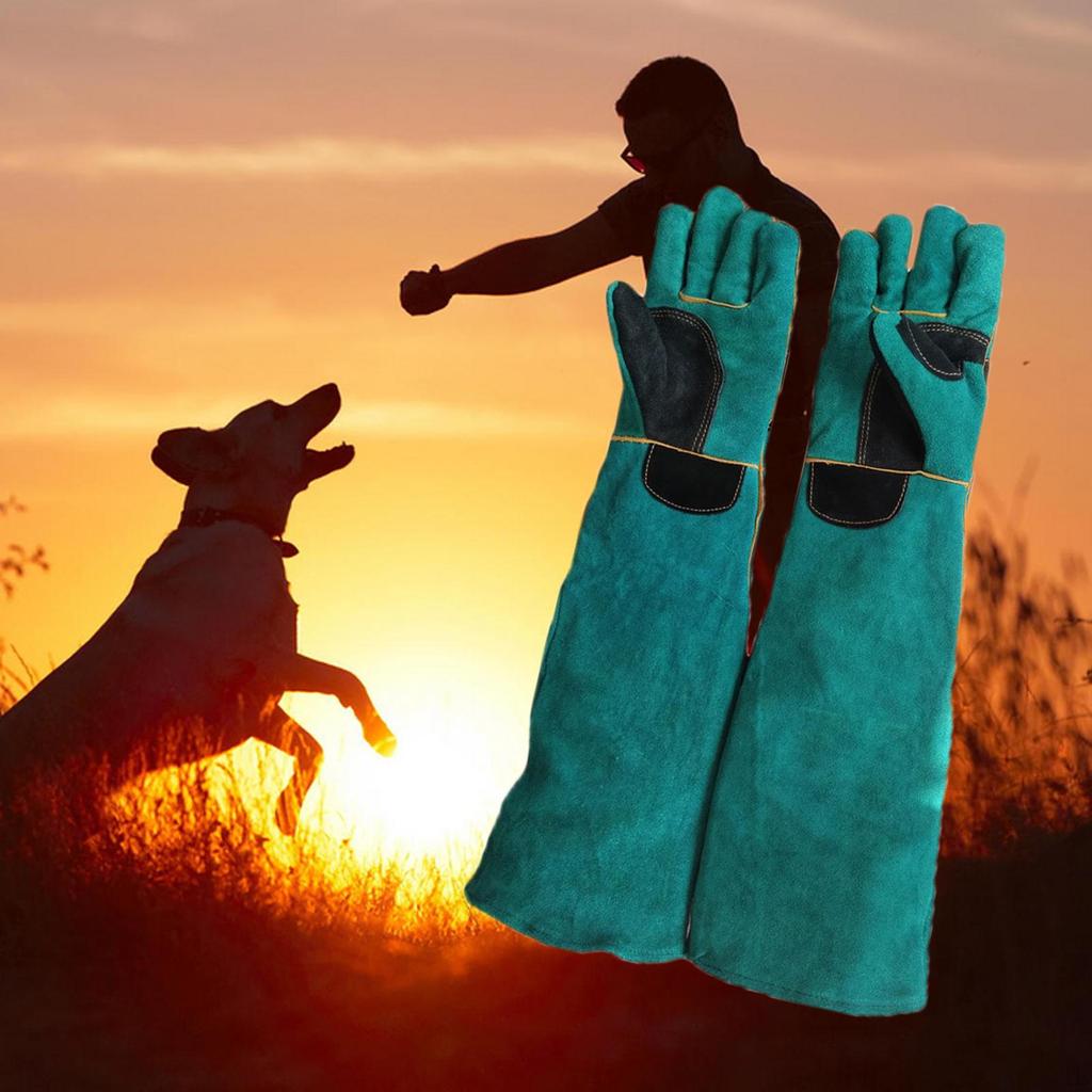 Animal Handling Gloves Bite Proof Reinforced Leather , Bird Falcon