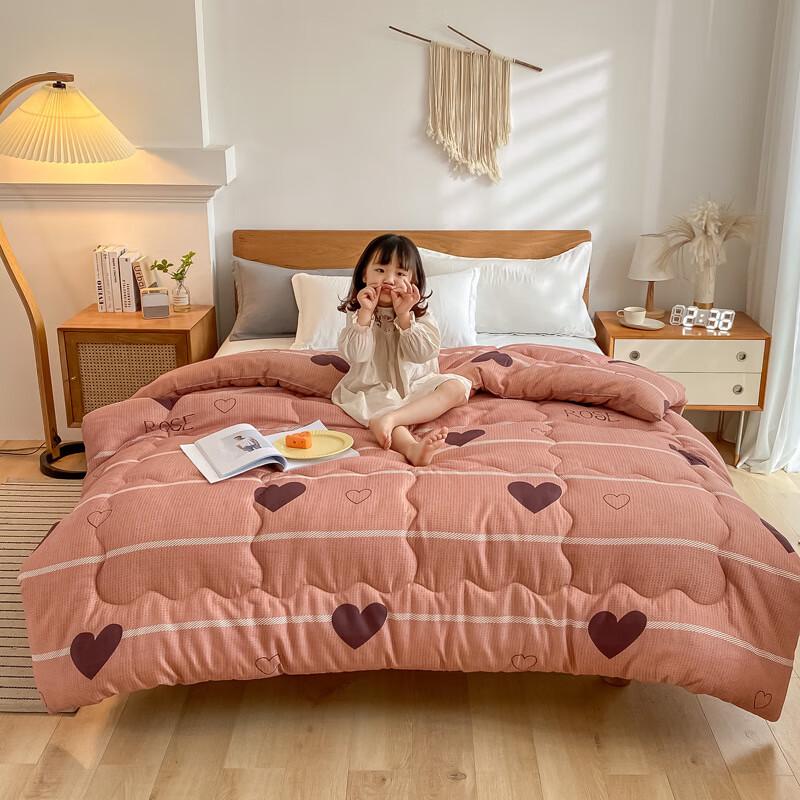OEING Skin-Friendly All-Season Warm Quilt
