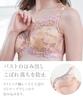 Nissen Lace Full Cup Bra In Milk Tea Green F105 Women's High-Back (Forget-Me-Not Pattern) (Made Japan) (Triumph) (n, FULLRE) (Forget-Me-Not Pattern)