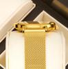 YaLaLuSi Brand Casual Men's Quartz Watch Green Disk Gold Mesh Belt Business Fashion Quartz Watch Simple Atmosphere Trend Watch