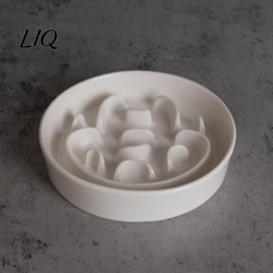 Slow Feeder for Dogs Elevated Pet Feeder, Ceramic Dog Bowl with Stand, Prevents Dish Choking, Protects Spine, Raised Food Cats Spine Protection