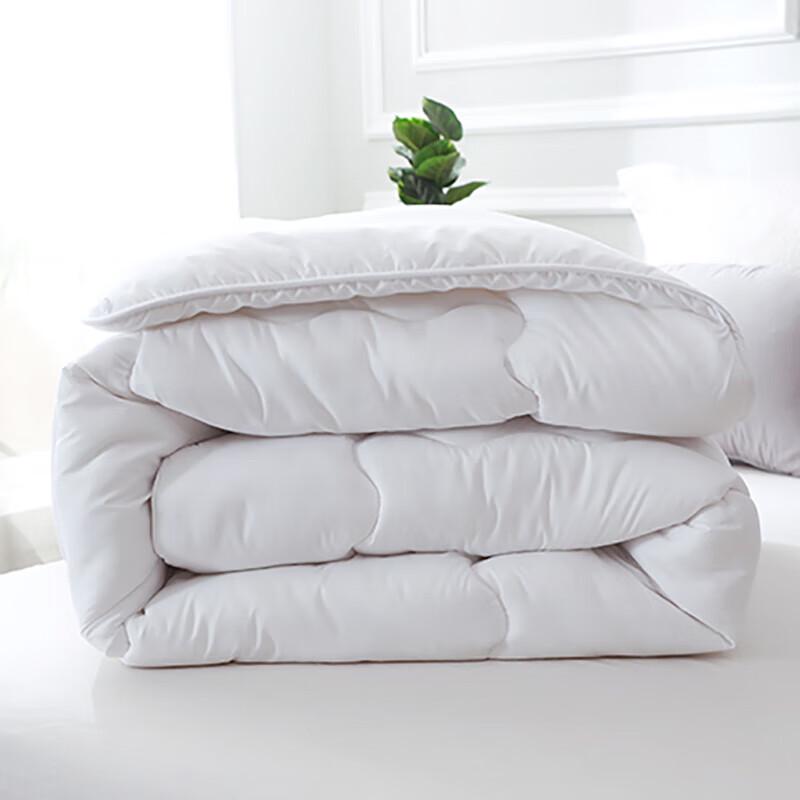 Garden Dream Comfort Spring Autumn Fiber Quilt