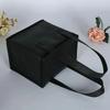 Insulated Picnic Bag with Thickened Aluminum Film Lining Large Capacity Handheld Outdoor Cooler Tote for Camping and Travel