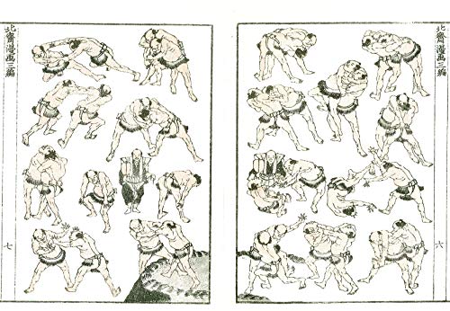 Hokusai Manga miniature book set of 6