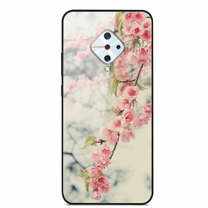Tempered Glass Case For Vivo V17 Case Russia Glass Back Cover Soft Bumper For Vivo V17 Phone Cases V 17 Funda Y9s S1 Pro Coque