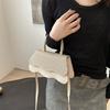 Chic Casual Mini Handbag 2024 Stylish Summer Purse For Girls With Modern Design