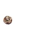 Catnip & Polygonum Teething Ball Toy for Kittens