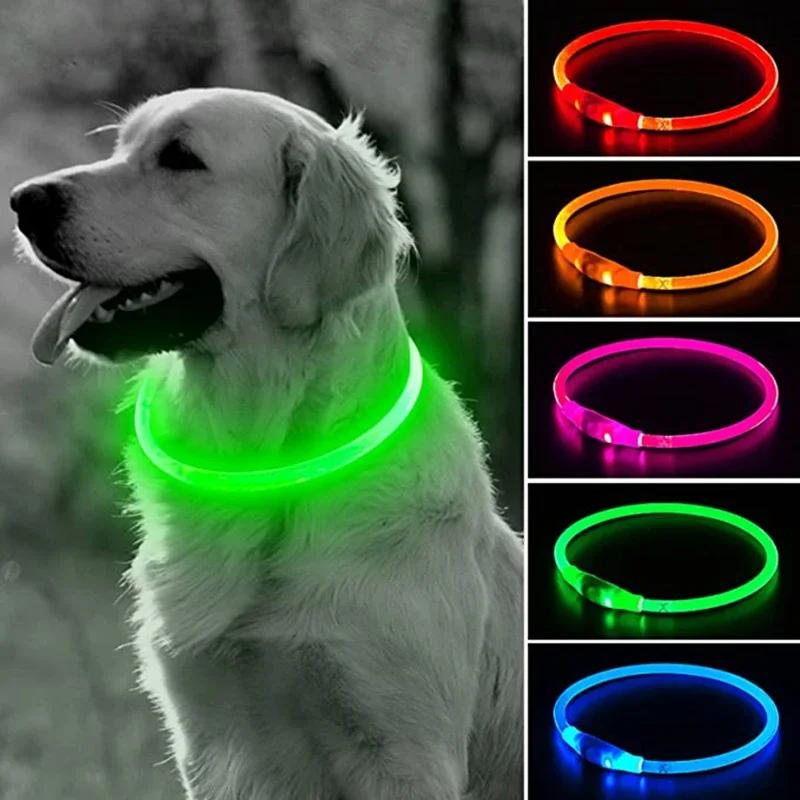 Collare per Cani a LED Luminoso USB Collare per Gatti Cani 3 Modalità Luce LED Incandescente Prevenzione Perdita Collare LED per Cani Accessori per Cani Domestici