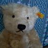 [USED] Steiff Stuffed Teddy Bear with Tag, Reproduction