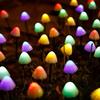 1pc 20/30 LED Solar Small Mushroom Lights Outdoor Garden Decoration Solar Fairy Lights For Yard Porch Wedding Party Lawn Decor