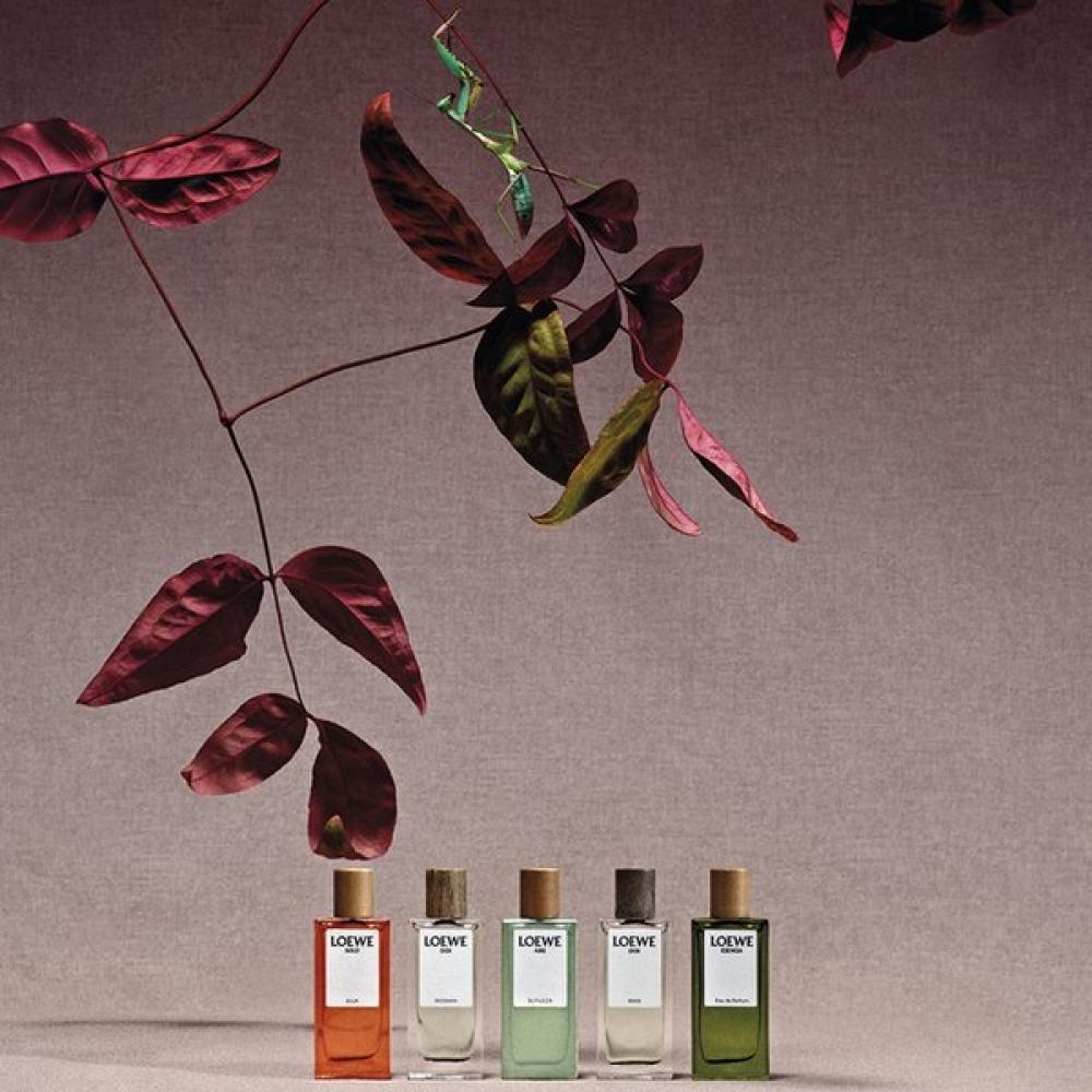 Loewe Perfumes Miniature Set 7ml X 5