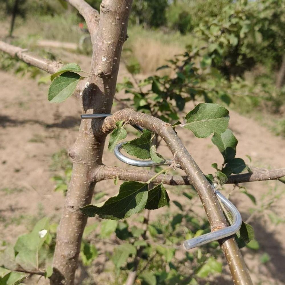 10Pcs Shape Fixator Branch Shaping Device Metal Branch Bending Tools Fruit Tree Training