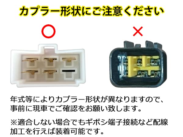 LED Tail Lamps and Right Compatible TRISTAR'S [Isuzu Elf] Ver.2 (Left Set)
