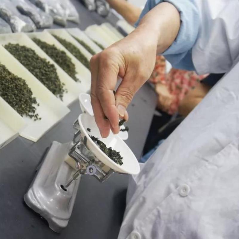 2023 Biluochun Grüntee Neuer Frühlingstee Bi Luo Chun Chinesischer Grüntee