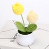 Hand-Woven Wool Tulip Plant: Creative Desktop Ornament & Graduation Gift