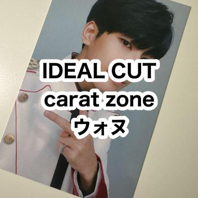 [USED] Seventeen IDEAL CUT Carat Zone 3rd Generation Wonwoo