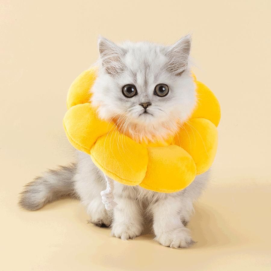 Cat Elizabethan Collar Soft Head Sretch for Dogs, Puppy Eliza Shame Neck Ring for Sterilized Pets