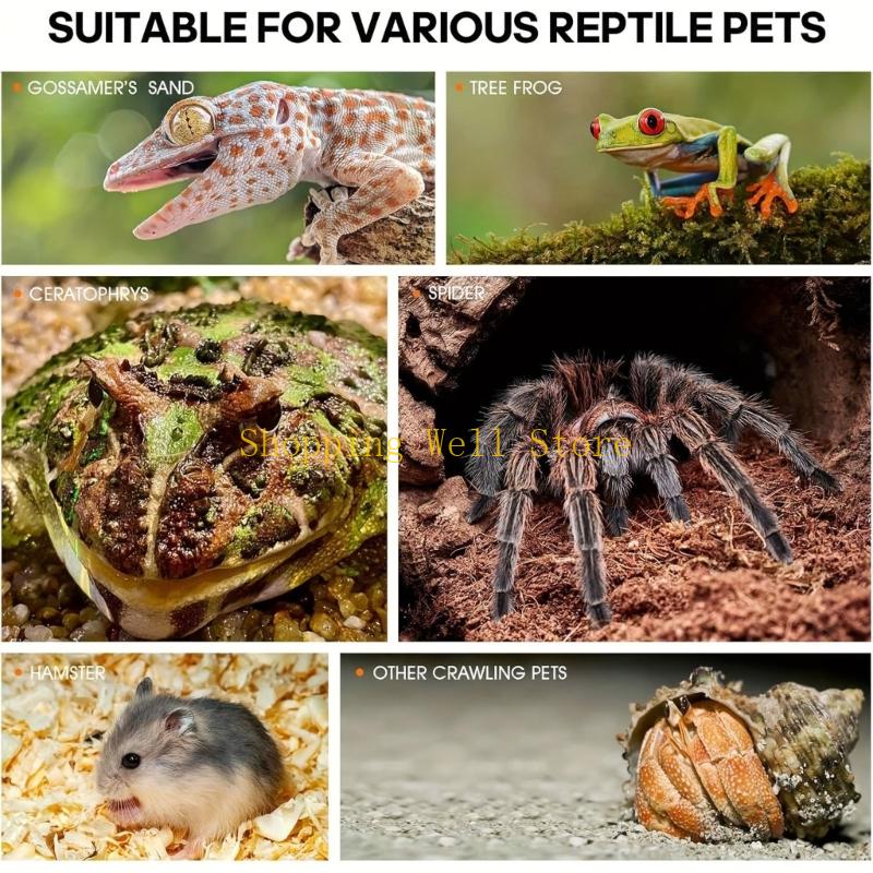 KX4B Acryl Haustier Reptilien Käfig Zuchtbox Terrarien Eidechsen Insekten Klettern