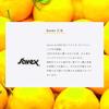 Savex Stick Lip Cream Yuzu Japan Exclusive