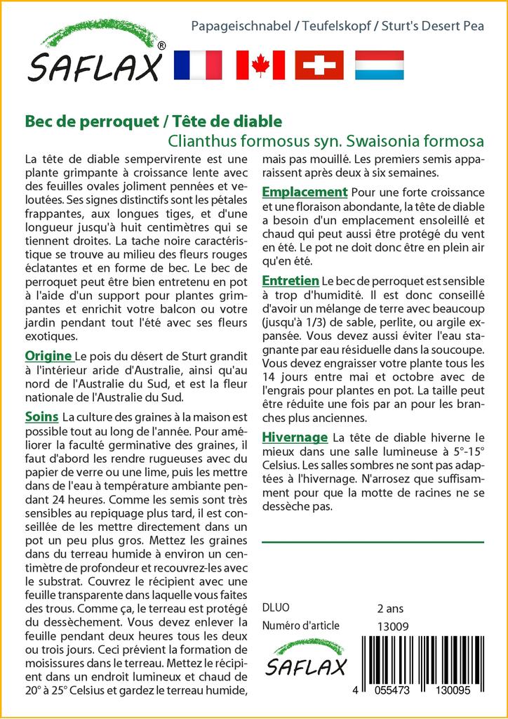 SAFLAX Sturt's Desert Pea - 20 Seeds - Clianthus Formosus