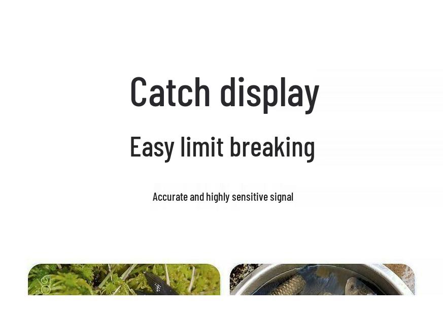 High Sensitivity Carp Fishing Float: Eye-Catching, Thickened, Short-Tail Design for Shallow Waters