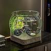Fish Bowl Tank Accessories Decorative Portable Tabletop Ornament Turtle Viewing