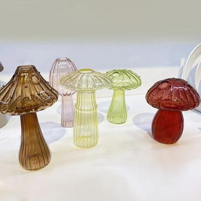 Nueva botella de vidrio transparente para flores, flor hidropónica, flor de calabaza, jarrón de vidrio, hongo, decoración del hogar, flor