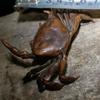 1 ks miniaturní čajové zvířátko ozdoba vintage krab simulace zvířecí model soška figurka starožitné kovové řemeslo dekorace na stůl