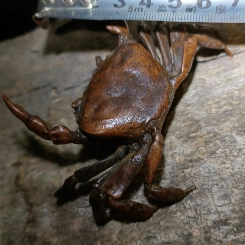 1 ks miniaturní čajové zvířátko ozdoba vintage krab simulace zvířecí model soška figurka starožitné kovové řemeslo dekorace na stůl