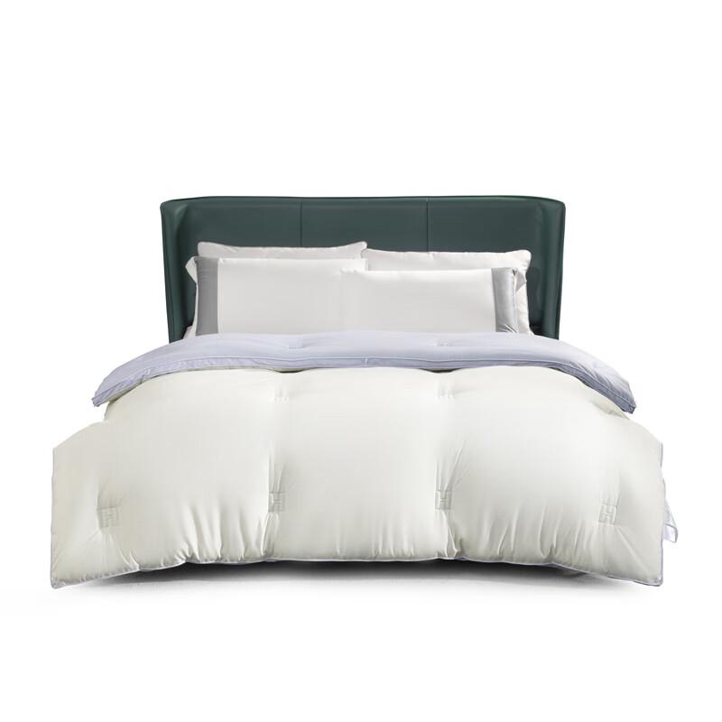 

Mercury Home Textiles Theanine Herb Fiber Winter Quilt