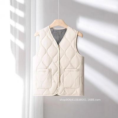 Autumn and Winter Vest Women's Vest Down Cotton Clothes High-end Short Vest Spring and Autumn Outer Wear Winter Women's Vest