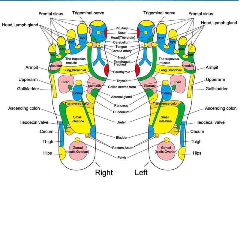 Massaggiatore per piedi Riflessologia Camminata Pietra Piede Gamba Alleviare il dolore Fisioterapia Disintossicazione Spa per piedi Tappetino per agopressione Pad Massaggiatore
