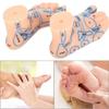 1 Paar 15 cm Fußreflexzonen-Massage-Modell kein Akupunktur-Modell Chinesischer und Englischer Code TCM Fußreflexzonenmassage
