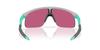 OAKLEY Resistor Youth Fit Sunglasses, Matte Fog, Prizm Lens, For Sports