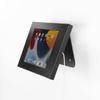 Sanwa Supply Steel Case with Stand for iPad (Black) CR-LASTIP34BK